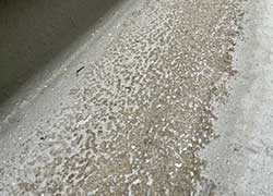 防水層にひび割れや膨れが見られる